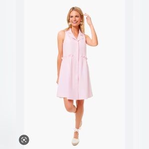 Pink Oxford Sleeveless Royal Shirtdress